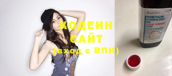 шишки Щёлкино