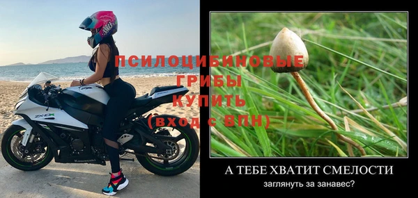 шишки Щёлкино