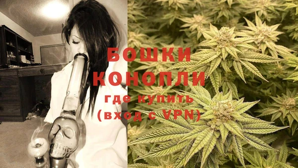 стафф Щучье