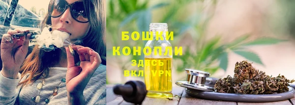 шишки Щёлкино