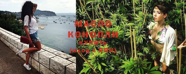 шишки Щёлкино