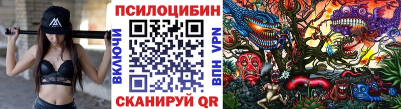 Галлюциногенные грибы Psilocybine cubensis  Купить где  Урень 